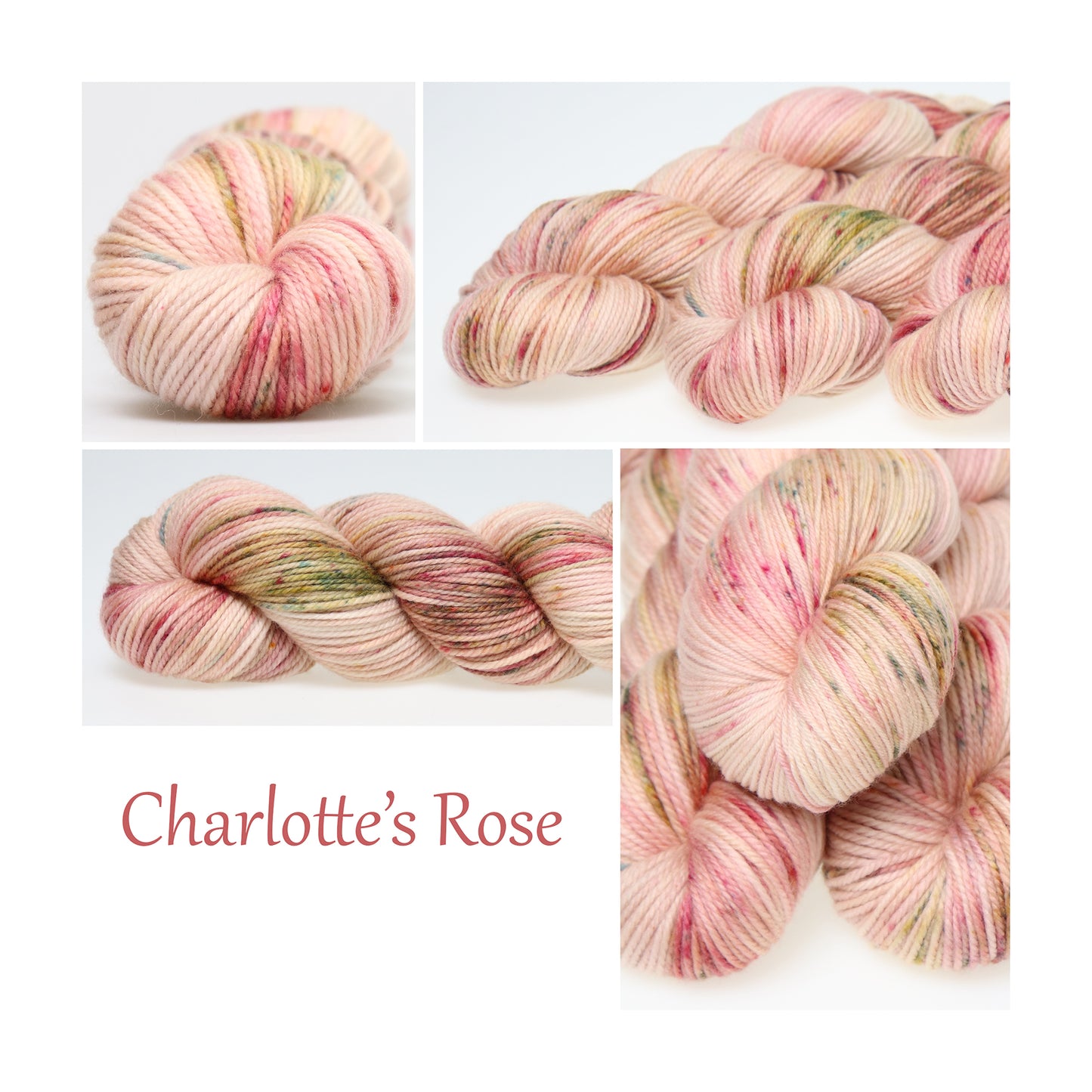 Charlotte's Rose